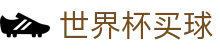 FIFA2026世界杯买球官方网站 | 线上官方授权买球平台极速入口